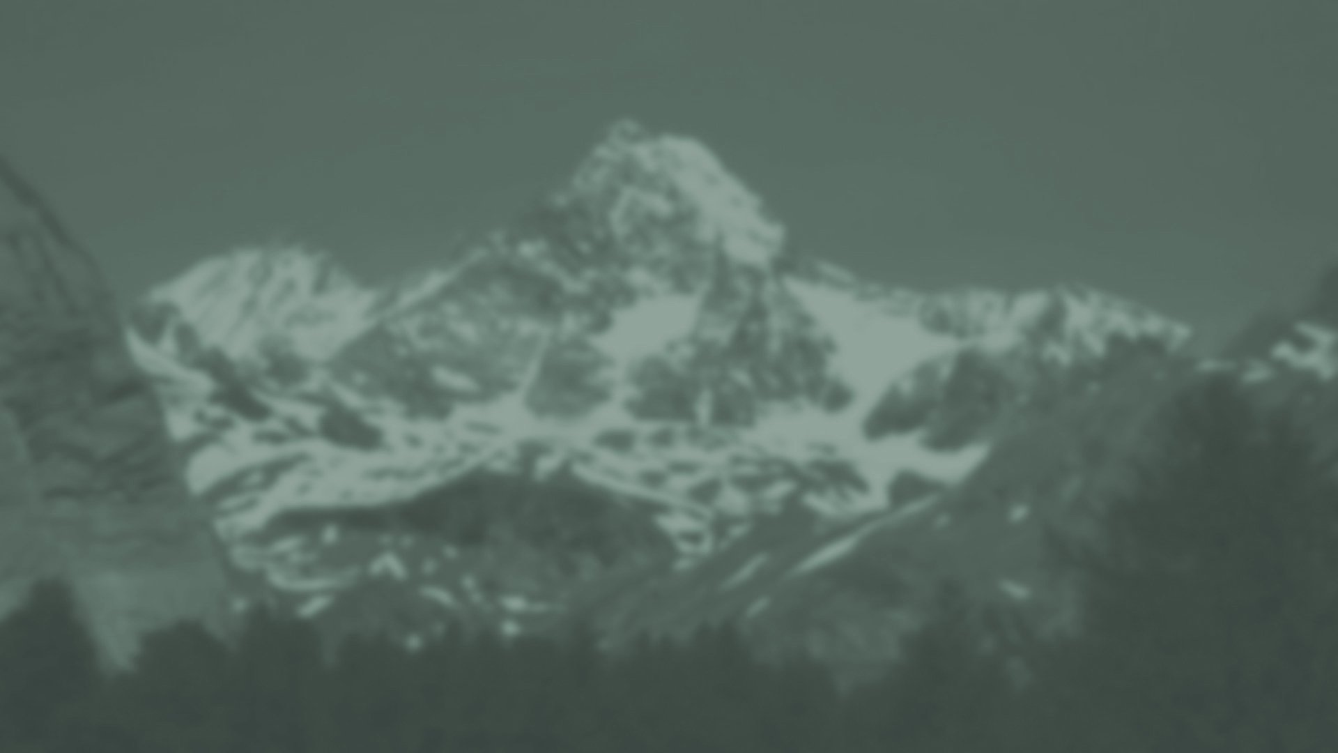 Ferienwohnung Bergherz